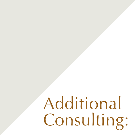 aditional-consulting